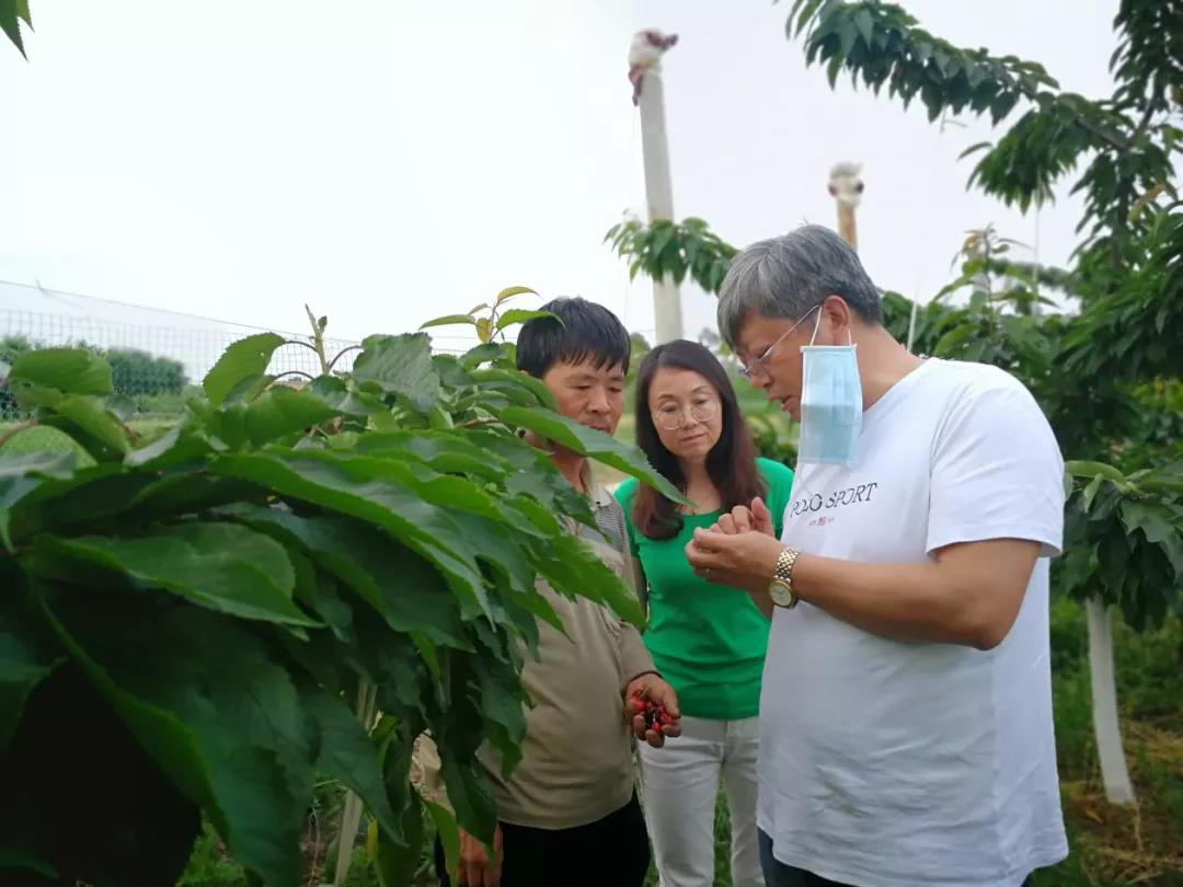 1598420781889000.jpg 微信图片_20200602152149.jpg
